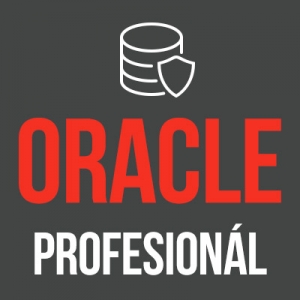 Kurz balík Oracle a PL/SQL profesionál - od základov jazyka SQL, PL/SQL až po pokročilé metódy analýzy dát