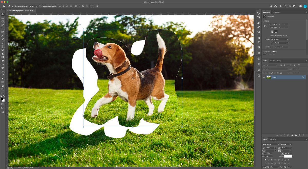 Úprava fotografie v Photoshope II - vybratá oblasť psíka s nástrojom na odseparovanie objektu