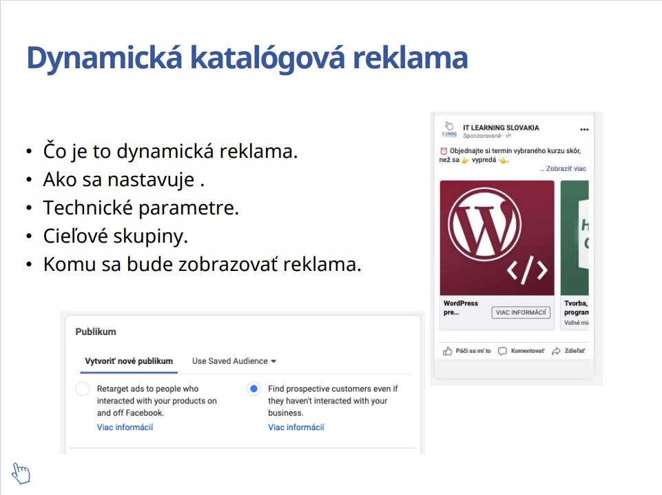 Slajd o dynamickej katalógovej reklame s príkladmi nastavení publika a kampání na Facebooku